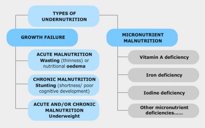 Types of Malnutrition